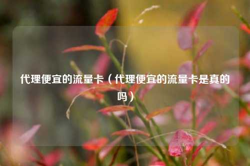 代理便宜的流量卡（代理便宜的流量卡是真的吗）
