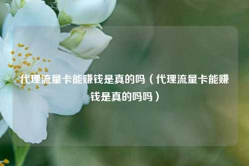代理流量卡能赚钱是真的吗（代理流量卡能赚钱是真的吗吗）