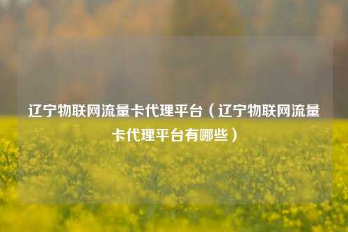 辽宁物联网流量卡代理平台(辽宁物联网流量卡代理平台有哪些)