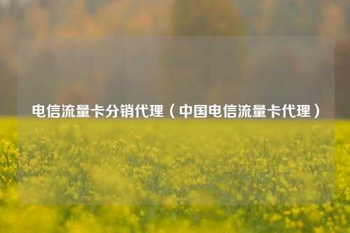 电信流量卡分销代理（中国电信流量卡代理）