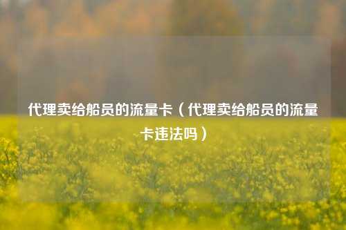 代理卖给船员的流量卡(代理卖给船员的流量卡违法吗)
