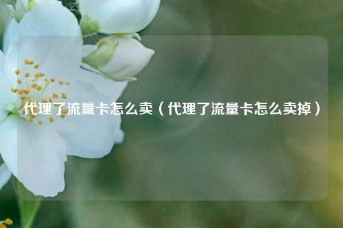 代理了流量卡怎么卖(代理了流量卡怎么卖掉)