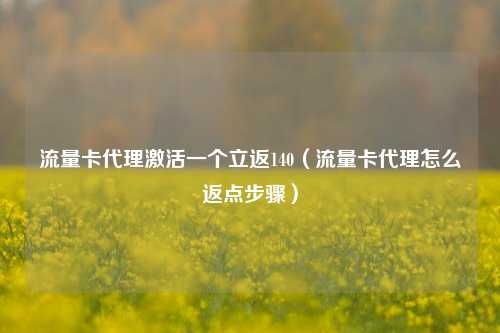 流量卡代理激活一个立返140(流量卡代理怎么返点步骤)