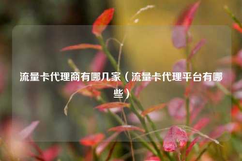 流量卡代理商有哪几家(流量卡代理平台有哪些)