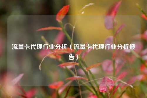 流量卡代理行业分析（流量卡代理行业分析报告）