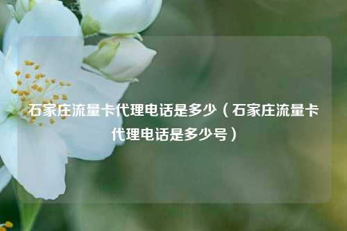 石家庄流量卡代理电话是多少（石家庄流量卡代理电话是多少号）