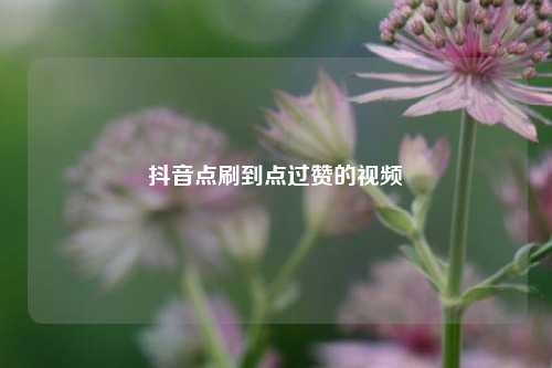 抖音点刷到点过赞的视频