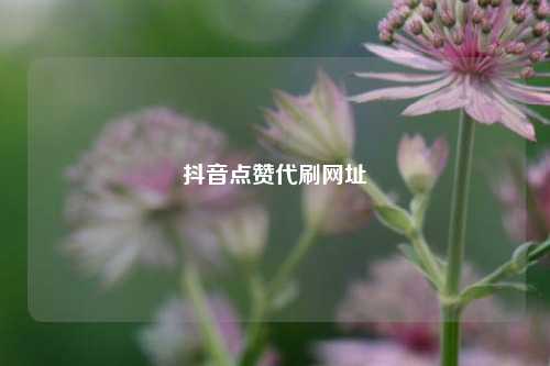 抖音点赞代刷网址