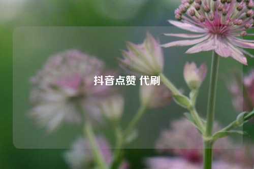 抖音点赞 代刷