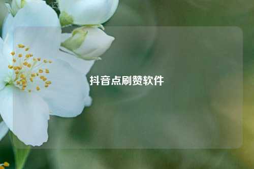 抖音点刷赞软件
