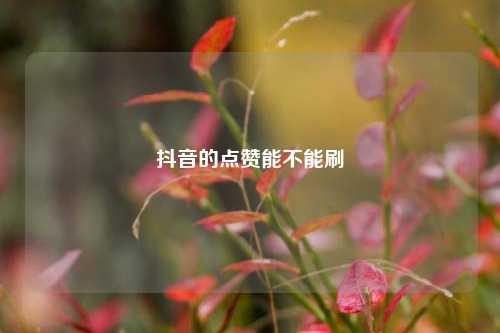 抖音的点赞能不能刷