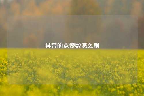 抖音的点赞数怎么刷