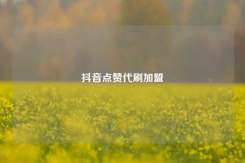 抖音点赞代刷加盟