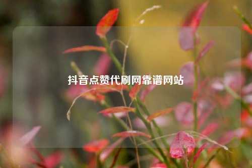 抖音点赞代刷网靠谱网站