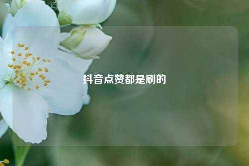 抖音点赞都是刷的