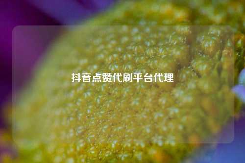 抖音点赞代刷平台代理